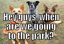  HEY GUYS, WHEN ARE WE GOING TO THE PARK? Misc