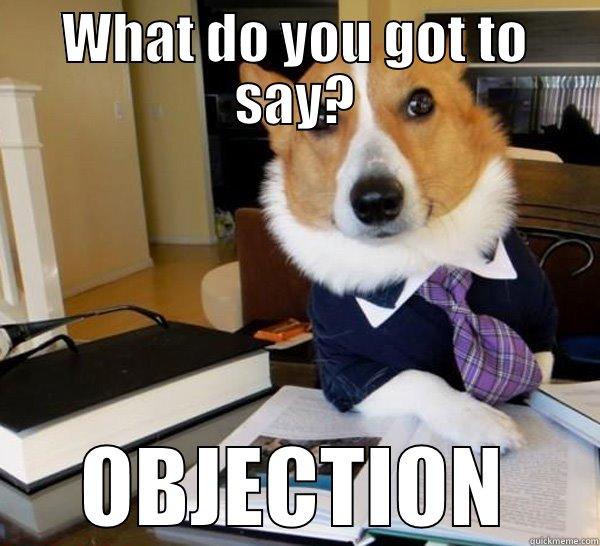 ok im sorry  - WHAT DO YOU GOT TO SAY? OBJECTION Lawyer Dog