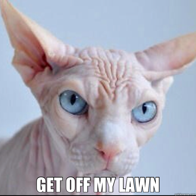  GET OFF MY LAWN -  GET OFF MY LAWN  Grumpy Cat of the Future