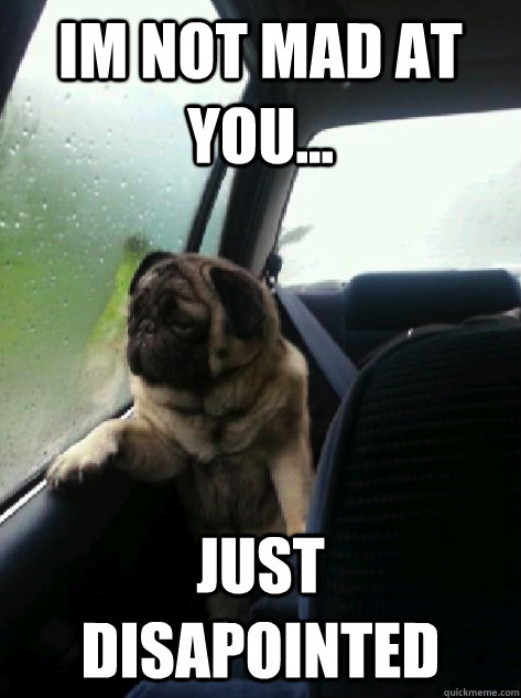 im not mad at you... just disapointed  Introspective Pug