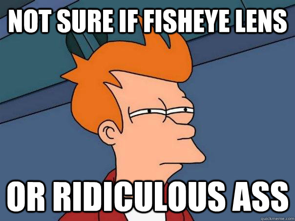 Not sure if fisheye lens Or ridiculous ass - Not sure if fisheye lens Or ridiculous ass  Futurama Fry