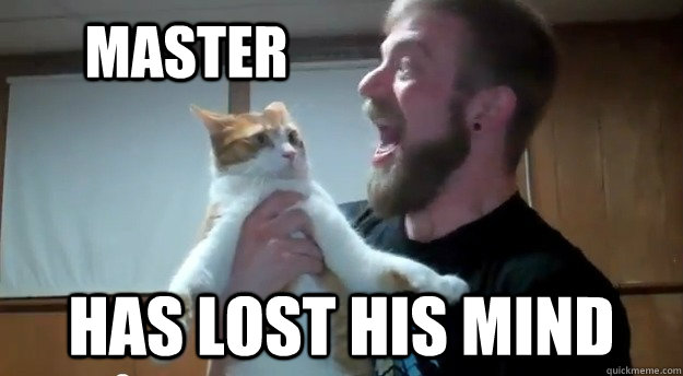 master has lost his mind - master has lost his mind  Misc