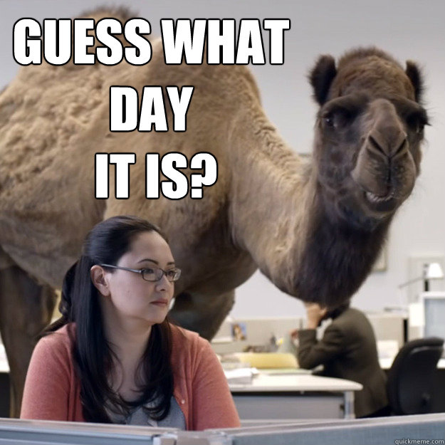 guess what day
 it is?  hump day