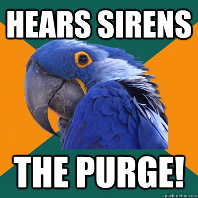 Hears Sirens THE PURGE!  Paranoid Parrot