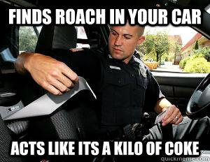 finds roach in your car acts like its a kilo of coke  