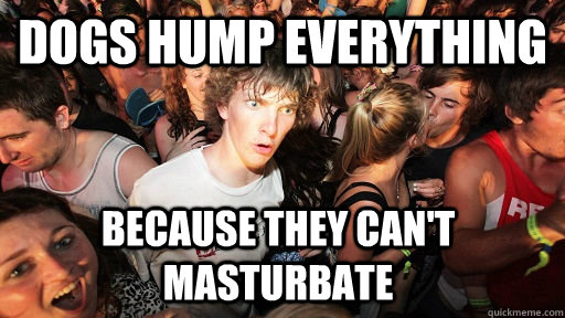 dogs hump everything because they can't masturbate  Sudden Clarity Clarence