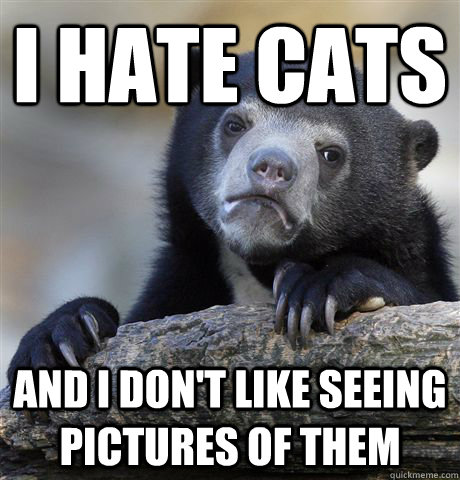 I hate cats And I don't like seeing pictures of them  Confession Bear