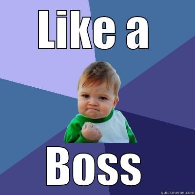 LIKE A BOSS Success Kid