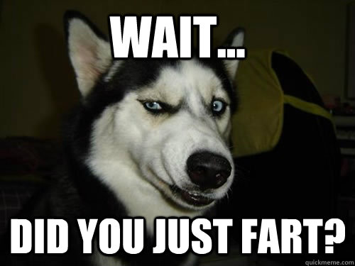 wait... did you just fart?  