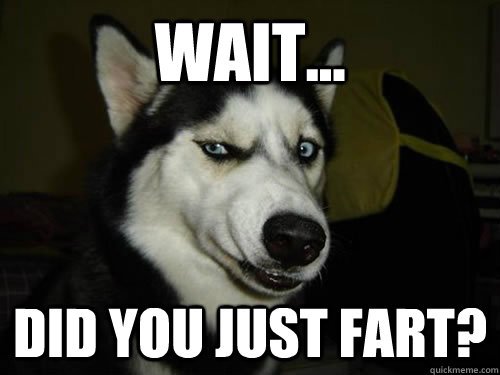 wait... did you just fart? - wait... did you just fart?  Misc