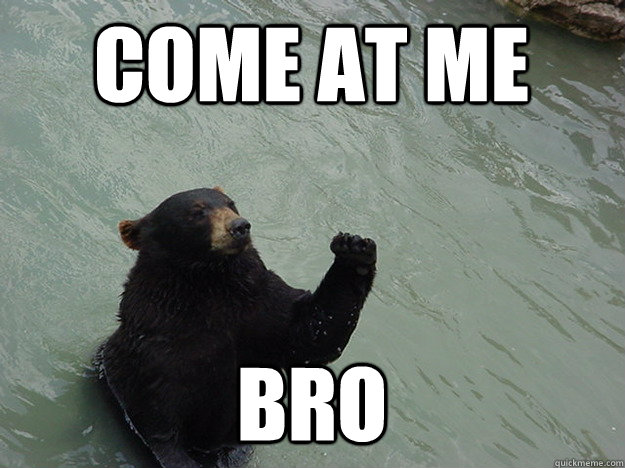 come at me bro   Vengeful Bear