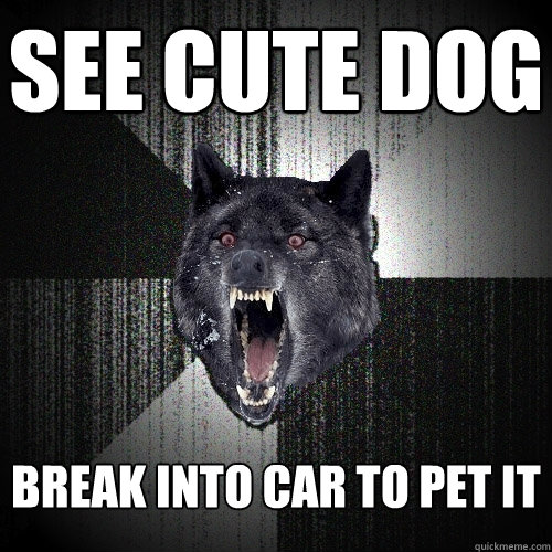 see cute dog break into car to pet it  Insanity Wolf