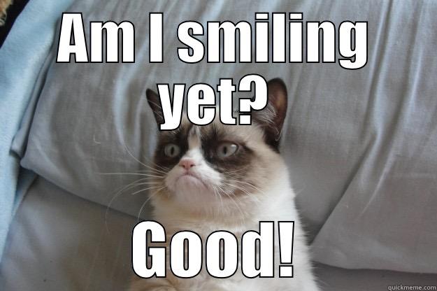 AM I SMILING YET? GOOD! Grumpy Cat