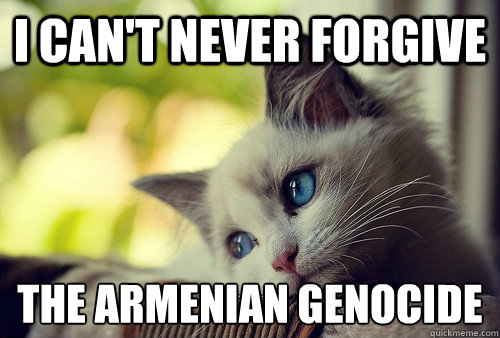 I can't never forgive the armenian genocide - I can't never forgive the armenian genocide  First World Cat Problems