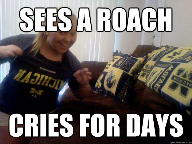 Sees a Roach Cries for days  