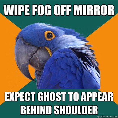 wipe fog off mirror expect ghost to appear behind shoulder  Paranoid Parrot