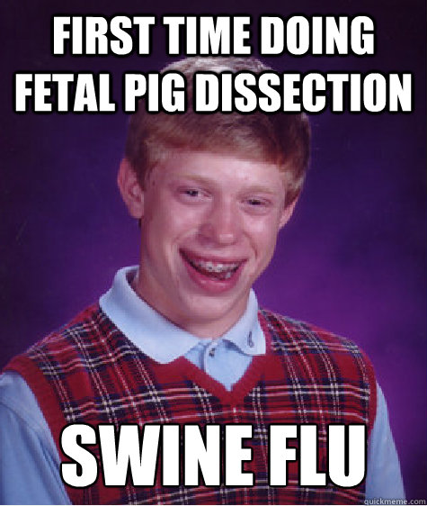 First time doing fetal pig dissection Swine flu  Bad Luck Brian