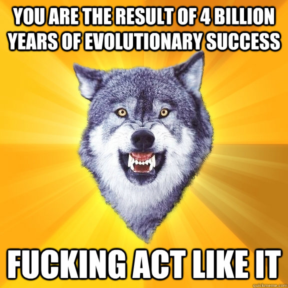 you are the result of 4 billion years of evolutionary success fucking act like it - you are the result of 4 billion years of evolutionary success fucking act like it  Courage Wolf