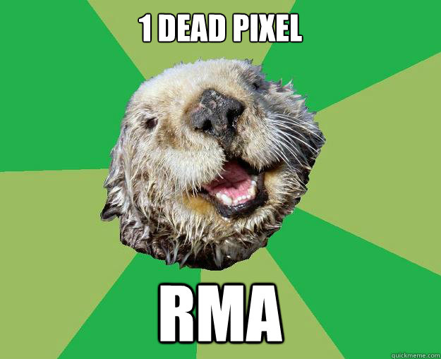1 dead pixel rma  OCD Otter