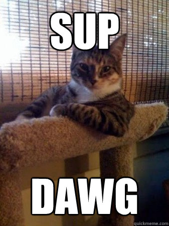 SUP dawg  Cool Cat