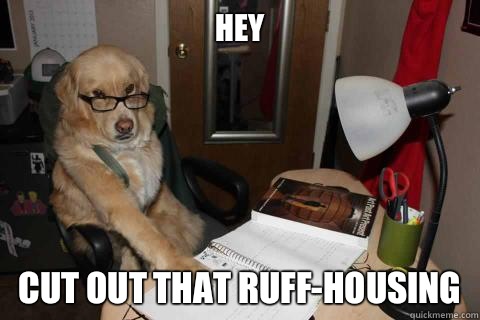 HEY Cut out that RUFF-HOUSING  Disapproving Dad Dog