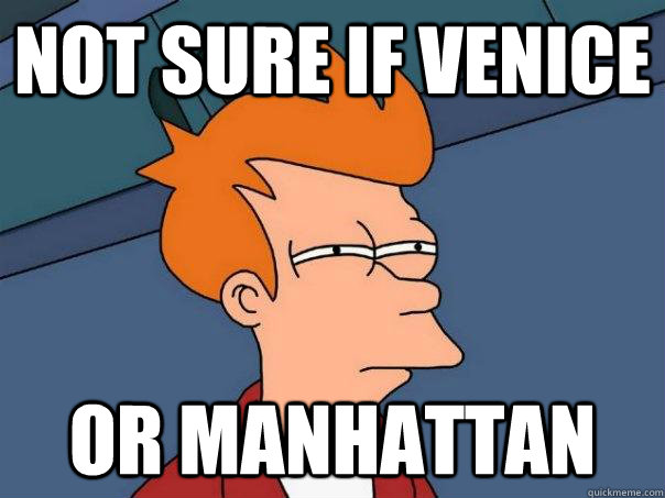 Not sure if Venice Or Manhattan  Futurama Fry