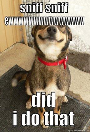 SNIFF SNIFF EWWWWWWWWWWWWWWW DID I DO THAT Good Dog Greg