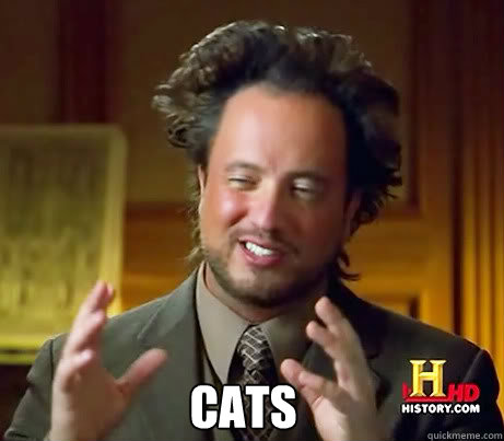  cats  Ancient Alien Guy