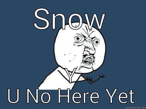 SNOW Y U NO HERE YET Y U No