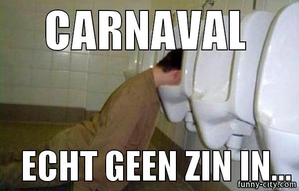 CARNAVAL     ECHT GEEN ZIN IN... Misc
