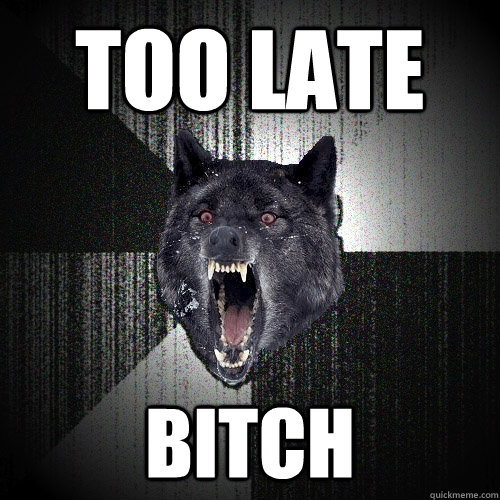 too late bitch  Insanity Wolf