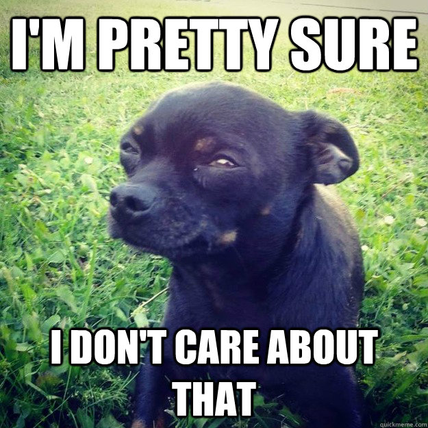 I'M PRETTY SURE I don't care about that - I'M PRETTY SURE I don't care about that  Skeptical Dog