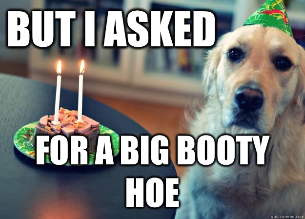 But I asked For a big booty hoe  Sad Birthday Dog