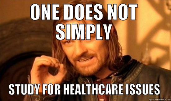 ONE DOES NOT SIMPLY STUDY FOR HEALTHCARE ISSUES Boromir