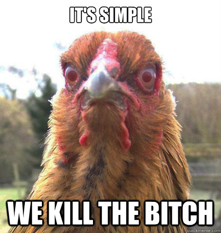 It's simple we kill the bitch  RageChicken