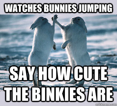 watches bunnies jumping SAY HOW CUTE THE BINKies are  Bunny Bros