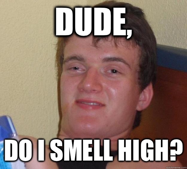 Dude,  do I smell high?  10 Guy