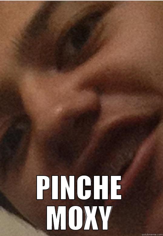 PINCHE MOXY Misc