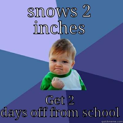 SNOWS 2 INCHES GET 2 DAYS OFF FROM SCHOOL Success Kid