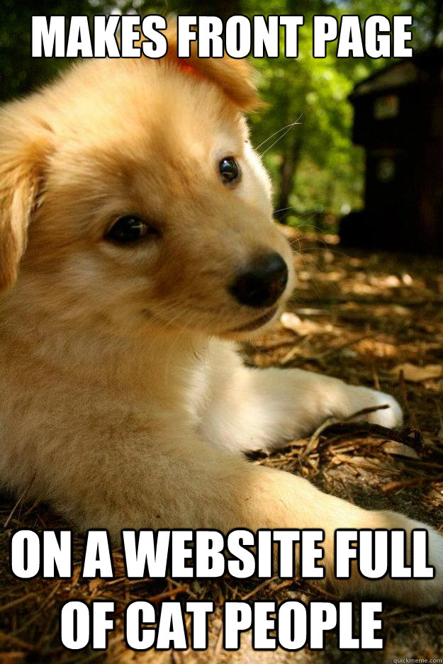 Makes front page On a website full of cat people - Makes front page On a website full of cat people  Misc