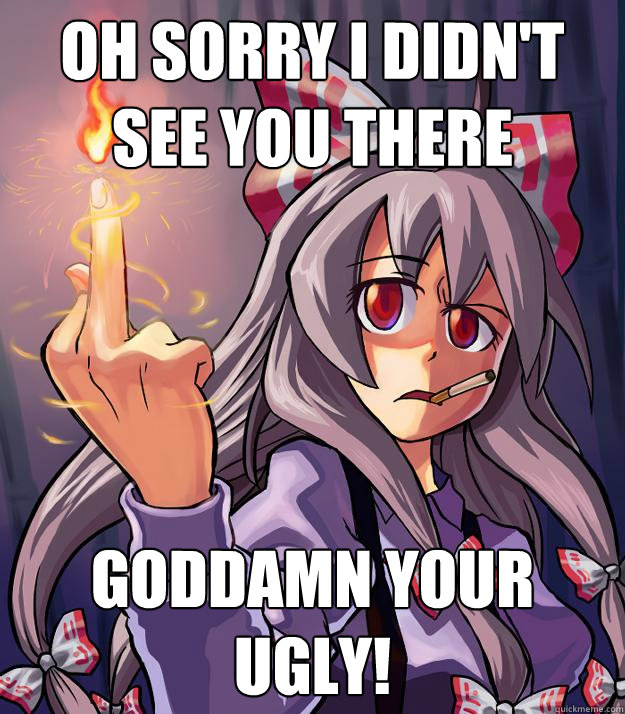 oh sorry i didn't see you there Goddamn your ugly!  