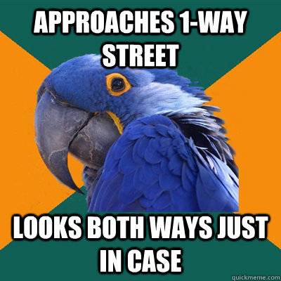 Approaches 1-way street Looks both ways just in case  Paranoid Parrot