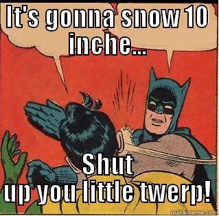 IT'S GONNA SNOW 10 INCHE... SHUT UP YOU LITTLE TWERP! Slappin Batman