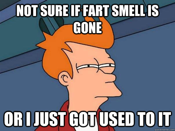 Not sure if fart smell is gone Or I just got used to it  Futurama Fry