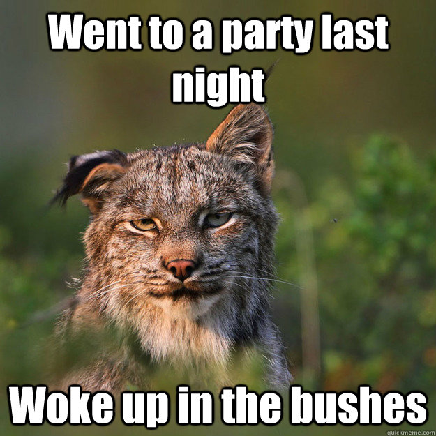Went to a party last night Woke up in the bushes  