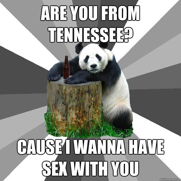 are you from tennessee?  cause i wanna have sex with you  Pickup-Line Panda