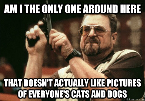 Am I the only one around here that doesn't actually like pictures of everyone's cats and dogs - Am I the only one around here that doesn't actually like pictures of everyone's cats and dogs  Am I the only one
