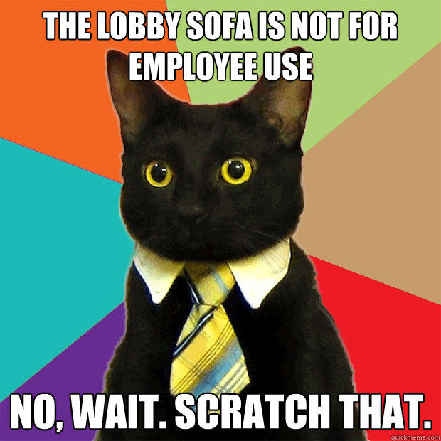 The Lobby Sofa Is Not For Employee Use No, wait. Scratch that.  Business Cat