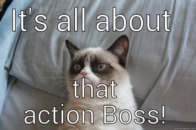 What action.... - IT'S ALL ABOUT  THAT ACTION BOSS! Grumpy Cat