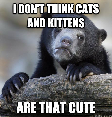 I don't think cats and kittens are that cute  Confession Bear